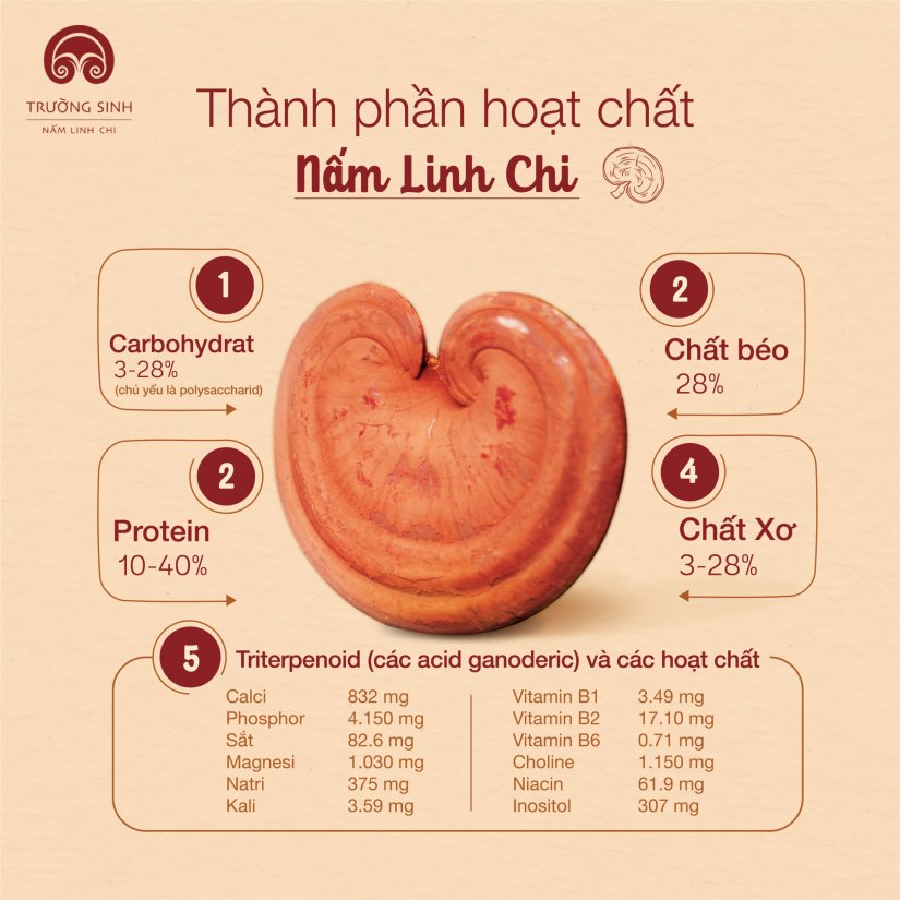 Hộp Nấm Yêu Thương
