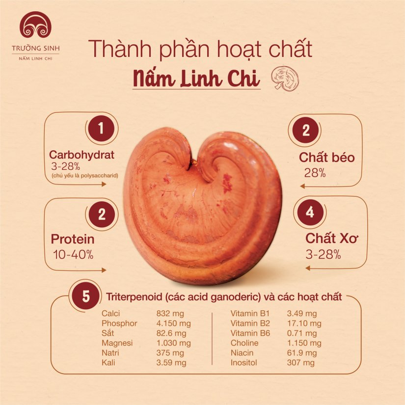 HỘP QUÀ AN BÌNH