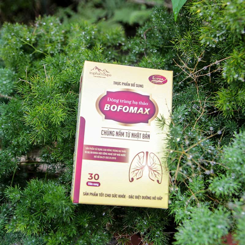 Đông Trùng Hạ Thảo Bofomax