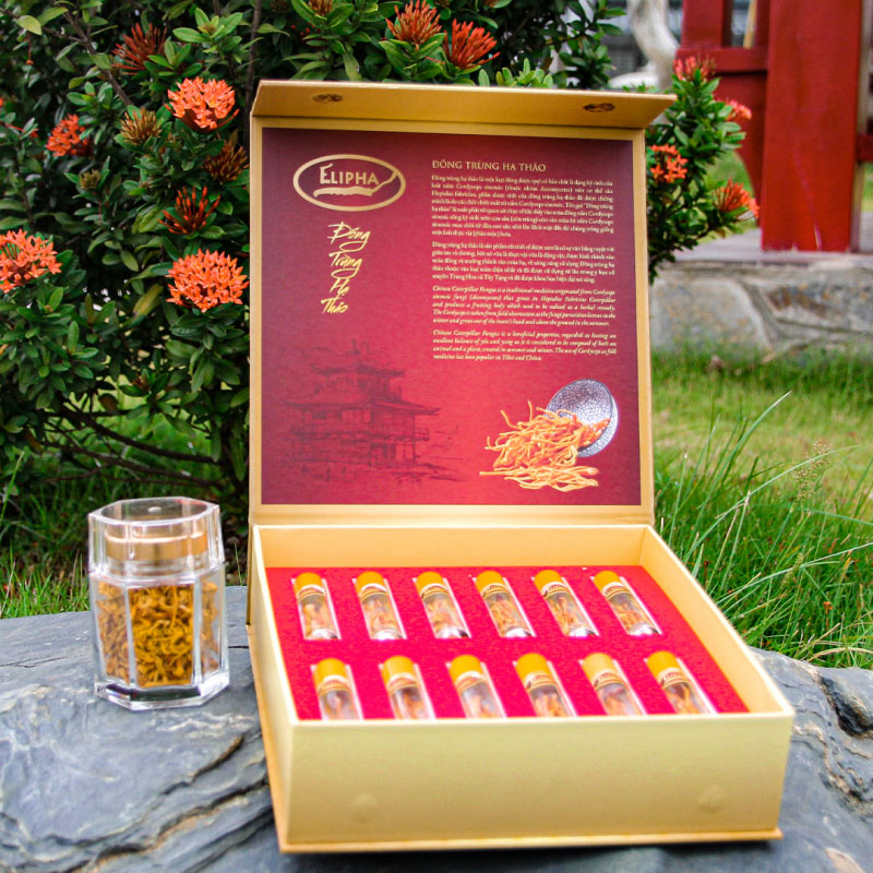 Đông Trùng Hạ Thảo Elipha Hộp 12 Lọ