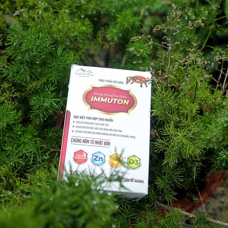 Đông Trùng Hạ Thảo Immuton
